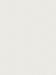 Обои флизелиновые Аспект 1.06 м 70670-14