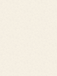 Обои флизелиновые Аспект 1.06 м 70670-22