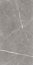 Керамогранит Global Tile Encanto_GT Серый 60x120 см GT120603001MCR