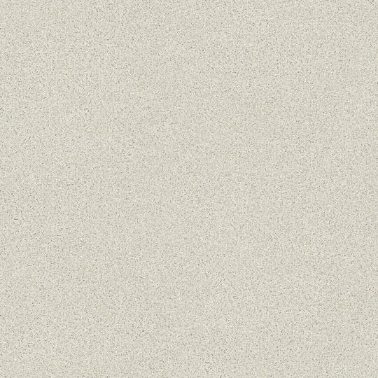 Линолеум Tarkett Craft Magnetic 1