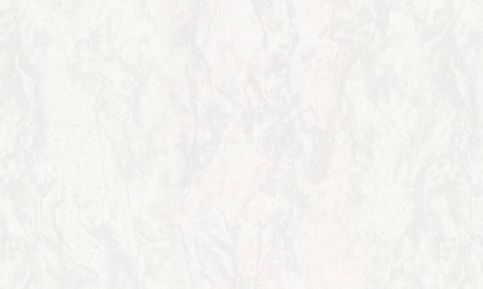 Обои виниловые HomeColor 0.53 м HC11067-11a